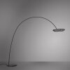 Illuminazione Paul Neuhaus Loop-Bow Lampada da terra, Lampade ad arco LED Nero, 2-Luci