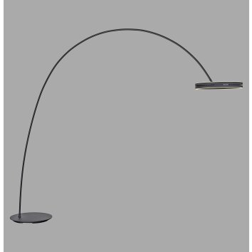 Illuminazione Paul Neuhaus Loop-Bow Lampada da terra LED Nero, 2-Luci