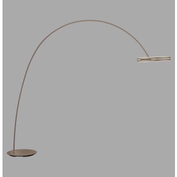 Illuminazione Paul Neuhaus Loop-Bow Lampada da terra LED Bronzo, 2-Luci