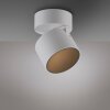 Illuminazione Paul Neuhaus Cup Plafoniera LED Bianco, 1-Luce