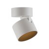 Illuminazione Paul Neuhaus Cup Plafoniera LED Bianco, 1-Luce
