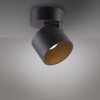 Illuminazione Paul Neuhaus Cup Plafoniera LED Nero, 1-Luce