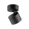 Illuminazione Paul Neuhaus Cup Plafoniera LED Nero, 1-Luce
