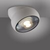 Illuminazione Paul Neuhaus Move Plafoniera LED Bianco, 1-Luce