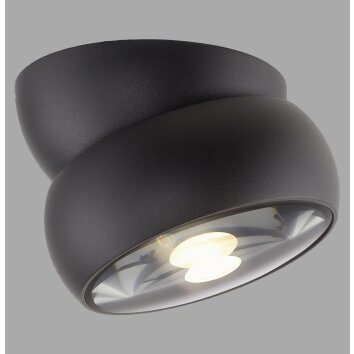 Illuminazione Paul Neuhaus Move Plafoniera LED Nero, 1-Luce