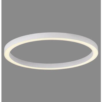 Illuminazione Paul Neuhaus Round Plafoniera LED Bianco, 1-Luce, Telecomando