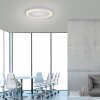 Illuminazione Paul Neuhaus Round Plafoniera LED Bianco, 1-Luce, Telecomando