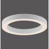 Illuminazione Paul Neuhaus Round Plafoniera LED Bianco, 1-Luce, Telecomando