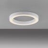 Illuminazione Paul Neuhaus Round Plafoniera LED Bianco, 1-Luce, Telecomando