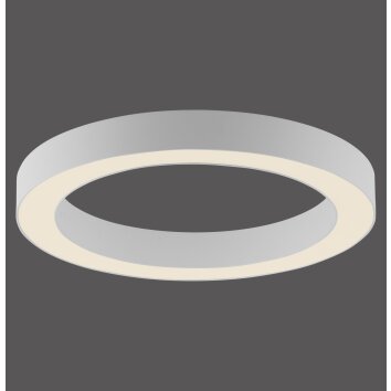 Illuminazione Paul Neuhaus Round Plafoniera LED Bianco, 1-Luce, Telecomando