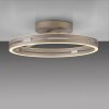 Illuminazione Paul Neuhaus Loop Plafoniera LED Bronzo, 2-Luci, Telecomando