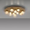Illuminazione Paul Neuhaus Popup Plafoniera LED Bronzo, 11-Luci, Telecomando