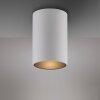 Illuminazione Paul Neuhaus Point Plafoniera LED Bianco, 1-Luce
