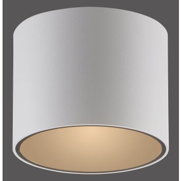 Illuminazione Paul Neuhaus Point Plafoniera LED Bianco, 1-Luce