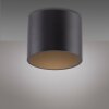 Illuminazione Paul Neuhaus Point Plafoniera LED Nero, 1-Luce