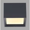 Illuminazione Paul Neuhaus Manhattan Plafoniera LED Grigio, 1-Luce, Telecomando