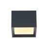 Illuminazione Paul Neuhaus Manhattan Plafoniera LED Grigio, 1-Luce, Telecomando