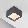 Illuminazione Paul Neuhaus Manhattan Plafoniera LED Grigio, 1-Luce, Telecomando