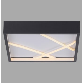 Illuminazione Leuchten Direkt MIKADO Plafoniera LED Nero, 1-Luce