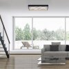 Illuminazione Leuchten Direkt MIKADO Plafoniera LED Nero, 1-Luce
