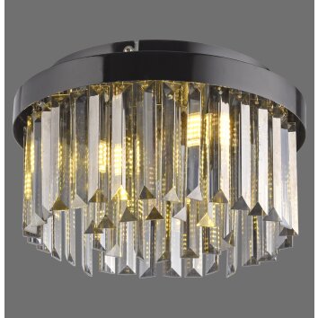 Illuminazione Leuchten Direkt KULUNKA Lampadario a corona LED Nero, 4-Luci