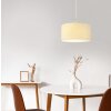 Illuminazione Globo Lighting Deleon Lampadario a sospensione Cromo, Sabbia, 1-Luce