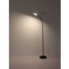 Illuminazione Globo Lighting Kalderon Lampada da terra LED Nero, 1-Luce