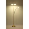 Illuminazione Globo Lighting Tirana Plafoniera LED Ottone, 1-Luce