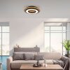 Illuminazione Leuchten Direkt TOLA Plafoniera LED Marrone, Nero, 1-Luce
