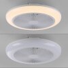 Illuminazione Leuchten Direkt mit Lampada con ventilatore LED Bianco, 1-Luce, Telecomando