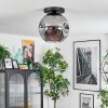 Ripoll Plafoniera, Lampada a sfera Grigio fumo, 1-Luce
