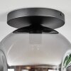Ripoll Plafoniera, Lampada a sfera Grigio fumo, 1-Luce