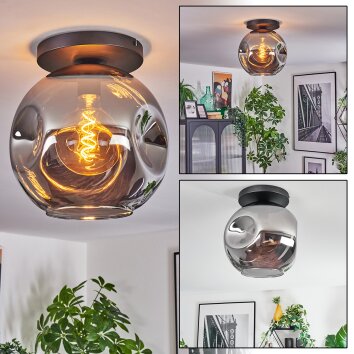 Ripoll Plafoniera, Lampada a sfera Grigio fumo, 1-Luce