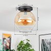 Ripoll Plafoniera, Lampada a sfera Ambrato, Chiaro, 1-Luce