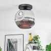 Ripoll Plafoniera, Lampada a sfera Cromo, Grigio fumo, 1-Luce