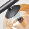 Chehalis Plafoniera, Lampada a sfera Ambrato, Chiaro, 4-Luci