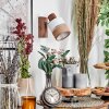 Fallhagen Applique, Faretto da parete Cromo, Legno scuro, 1-Luce