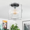 Ripoll Plafoniera, Lampada a sfera Chiaro, 1-Luce