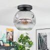 Ripoll Plafoniera, Lampada a sfera Chiaro, Grigio fumo, 1-Luce