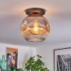 Ripoll Plafoniera, Lampada a sfera Chiaro, Grigio fumo, 1-Luce
