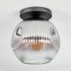 Ripoll Plafoniera, Lampada a sfera Chiaro, Grigio fumo, 1-Luce