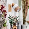 Fallhagen Applique, Faretto da parete Cromo, Legno chiaro, 1-Luce