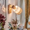 Fallhagen Applique, Faretto da parete Cromo, Legno chiaro, 1-Luce