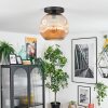 Ripoll Plafoniera, Lampada a sfera Ambrato, 1-Luce