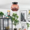 Ripoll Plafoniera, Lampada a sfera Ramato, 1-Luce