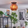 Ripoll Plafoniera, Lampada a sfera Ramato, 1-Luce