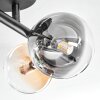 Chehalis Plafoniera, Lampada a sfera Ambrato, Chiaro, Grigio fumo, 4-Luci