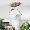 Fallhagen Plafoniera, Faretto da soffitto Cromo, Legno scuro, 1-Luce