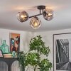 Ripoll Plafoniera, Lampada a sfera Chiaro, Grigio fumo, 3-Luci