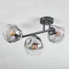 Ripoll Plafoniera, Lampada a sfera Chiaro, Grigio fumo, 3-Luci